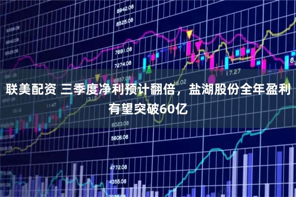 联美配资 三季度净利预计翻倍，盐湖股份全年盈利有望突破60亿