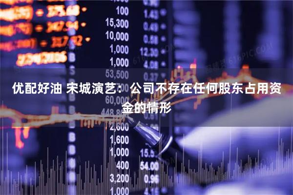 优配好油 宋城演艺：公司不存在任何股东占用资金的情形