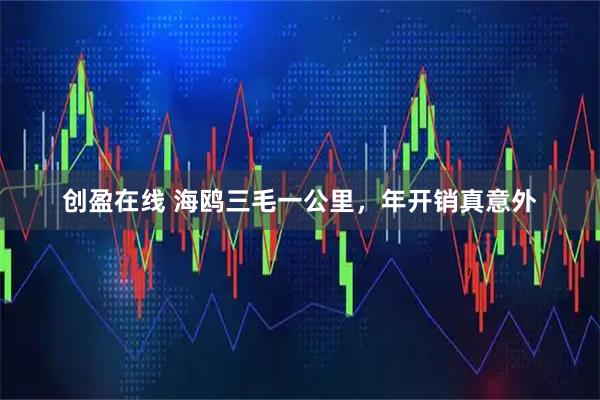 创盈在线 海鸥三毛一公里，年开销真意外
